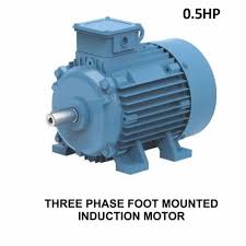 Foot Mounted Induction Motor
